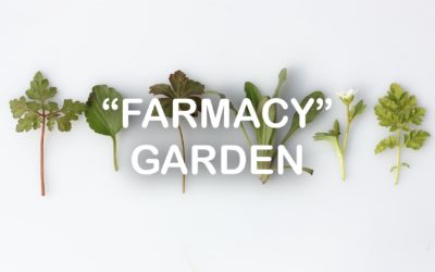 “Farmacy” Garden