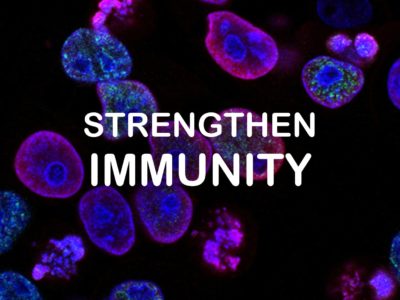 Strengthen Immunity