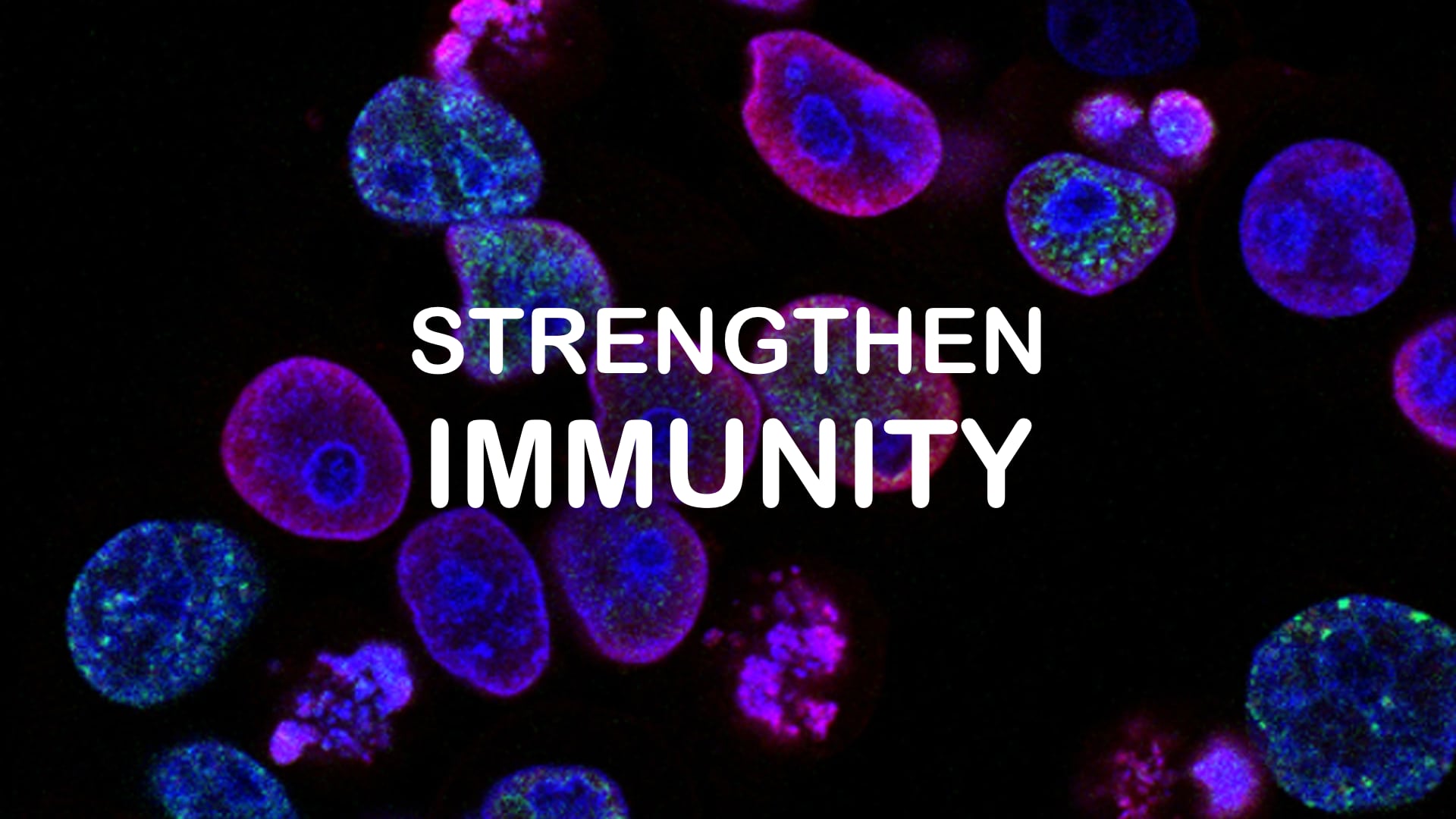 class_Strengthen Immunity